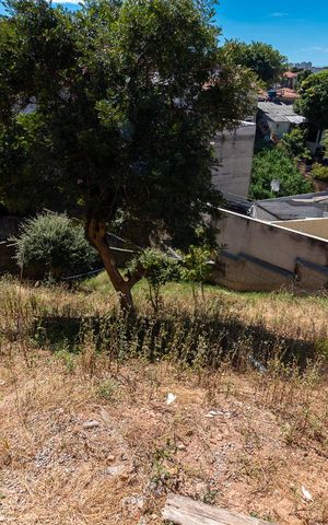 Casa à venda com 420m², 2 quartos e 5 vagasQuintal - Jardim