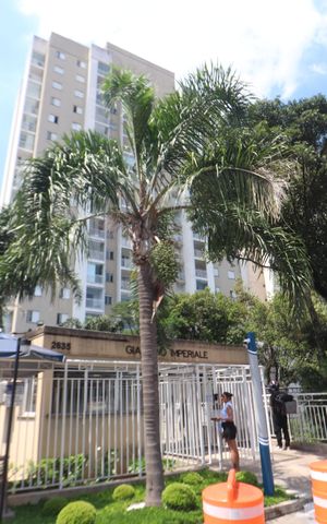 Apartamento à venda com 75m², 3 quartos e 1 vagaFachada