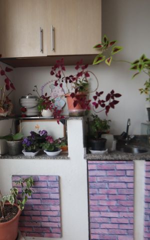 Apartamento à venda com 75m², 3 quartos e 1 vagaVaranda