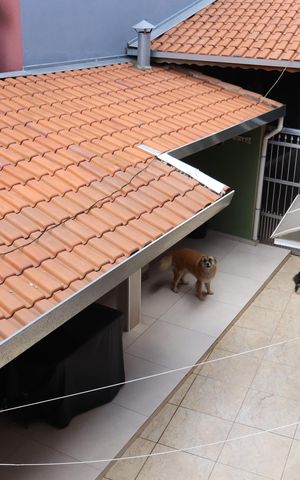 Casa à venda com 172m², 3 quartos e 3 vagasVista da varanda - quarto 1