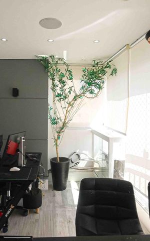 Apartamento à venda com 62m², 2 quartos e 1 vaga Apartamento à venda com 62m², 2 quartos e 1 vagaVaranda