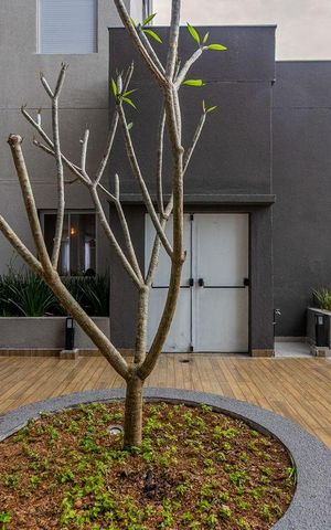 Apartamento à venda com 48m², 2 quartos e 1 vaga