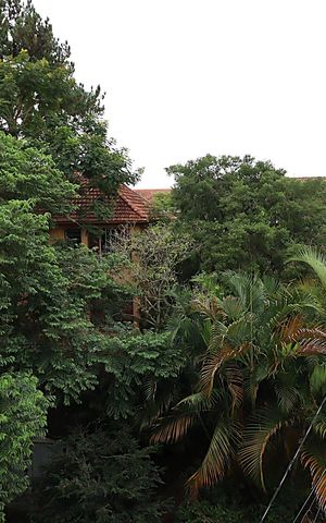 Apartamento à venda com 110m², 3 quartos e 1 vagaVista da Sala