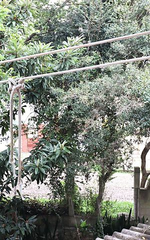 Apartamento à venda com 110m², 3 quartos e 1 vagaVista da cozinha