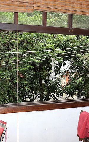 Apartamento à venda com 110m², 3 quartos e 1 vagaJanela da Cozinha