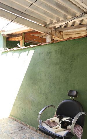 Casa à venda com 250m², 4 quartos e 1 vagaÁrea de Serviço