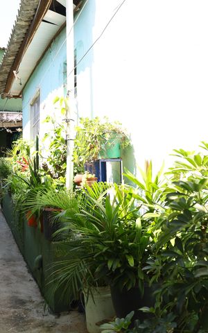 Casa à venda com 250m², 4 quartos e 1 vagaQuintal