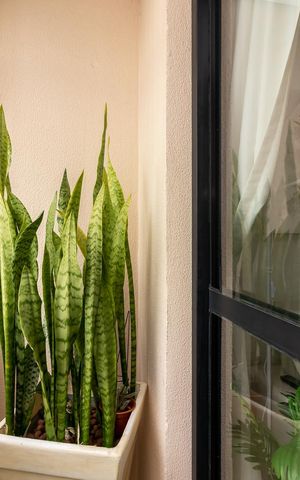 Apartamento à venda com 50m², 2 quartos e 1 vagaVaranda da Sala