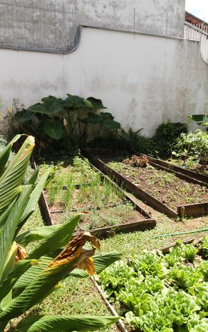 Apartamento para alugar com 310m², 6 quartos e 2 vagasÁrea comum - Horta