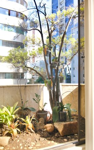 Apartamento para alugar com 370m², 6 quartos e 4 vagas Apartamento para alugar com 370m², 6 quartos e 4 vagasSala - Varanda/Jardim