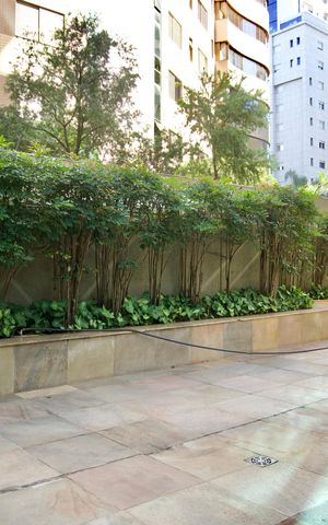 Apartamento para alugar com 370m², 6 quartos e 4 vagas Apartamento para alugar com 370m², 6 quartos e 4 vagasÁrea comum