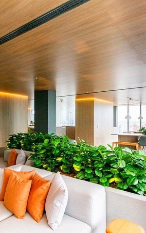 Apartamento para alugar com 50m², 1 quarto e sem vaga Apartamento para alugar com 50m², 1 quarto e sem vagaÁrea Comum