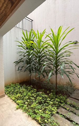 Apartamento à venda com 26m², 1 quarto e sem vagaÁrea comum