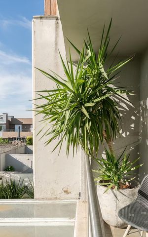 Casa de condomínio à venda com 275m², 4 quartos e 2 vagas