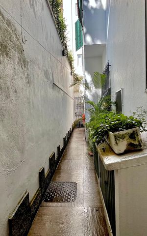 Casa à venda com 266m², 4 quartos e 2 vagas Casa à venda com 266m², 4 quartos e 2 vagasQuintal