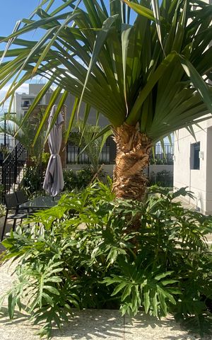 Apartamento à venda com 38m², 2 quartos e 1 vaga Apartamento à venda com 38m², 2 quartos e 1 vagaÁrea externa