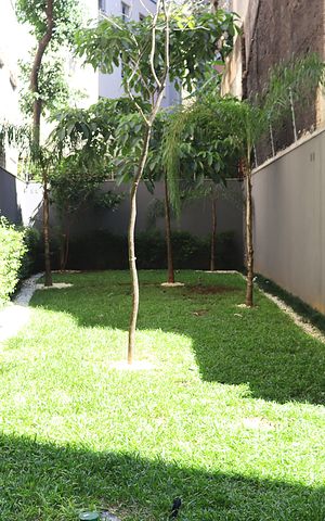Studio à venda com 24m², 1 quarto e sem vagaPetPlace