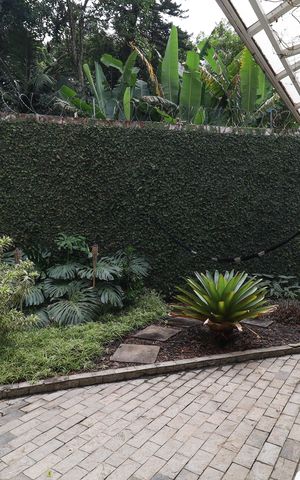 Casa à venda com 320m², 4 quartos e 6 vagas
