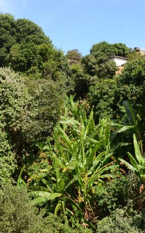 Casa para alugar com 180m², 2 quartos e 1 vagaVista da Sacada
