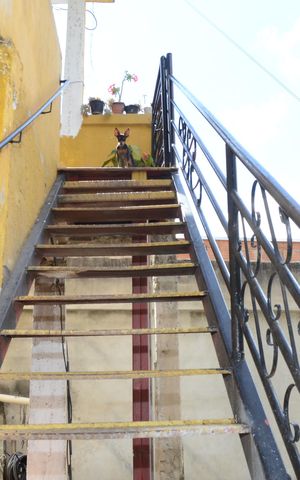 Casa para alugar com 180m², 2 quartos e 1 vagaEscada