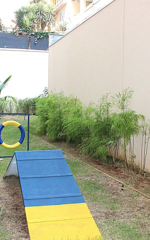 Studio para alugar com 27m², 1 quarto e sem vagaPet Place