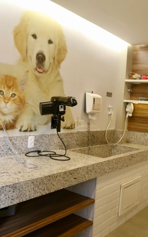 Studio para alugar com 28m², 1 quarto e sem vaga