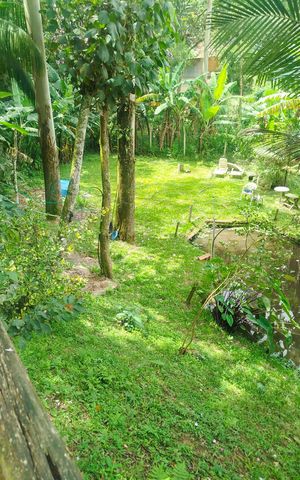 Casa à venda com 1008m², 4 quartos e 3 vagas Casa à venda com 1008m², 4 quartos e 3 vagasQuintal