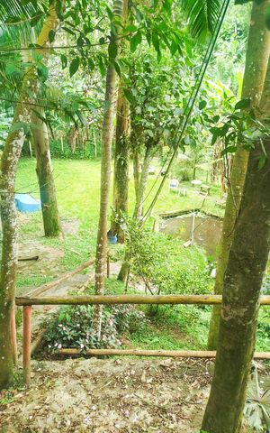 Casa à venda com 1008m², 4 quartos e 3 vagas Casa à venda com 1008m², 4 quartos e 3 vagasQuintal