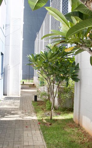 Apartamento à venda com 44m², 2 quartos e 1 vaga