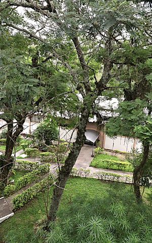 Apartamento à venda com 61m², 3 quartos e 1 vagaVista do Quarto 3 