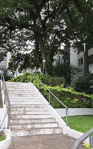 Apartamento à venda com 61m², 3 quartos e 1 vagaÁrea comum - Corrimão 