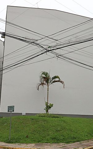 Apartamento à venda com 61m², 3 quartos e 1 vagaFachada do Prédio