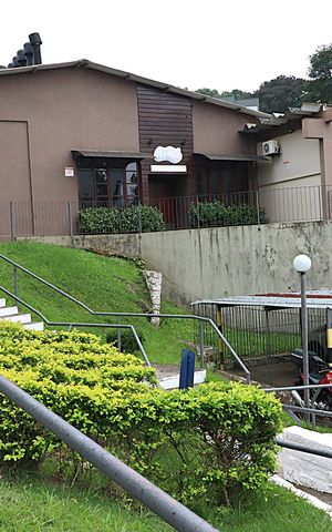 Apartamento à venda com 61m², 3 quartos e 1 vagaÁrea comum - Salão de festas