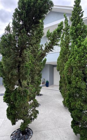 Casa de condomínio à venda com 300m², 5 quartos e 2 vagas Casa de condomínio à venda com 300m², 5 quartos e 2 vagasÁrea externa