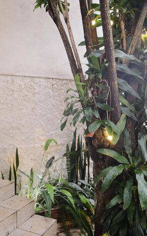 Casa à venda com 250m², 3 quartos e sem vagaJardim