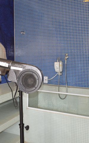 Apartamento à venda com 68m², 2 quartos e 1 vagaPet Care