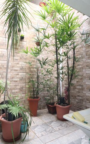 Casa à venda com 142m², 3 quartos e 2 vagasÁrea de Serviço
