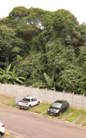 Apartamento para alugar com 51m², 2 quartos e 1 vagaVista da Área de Serviço