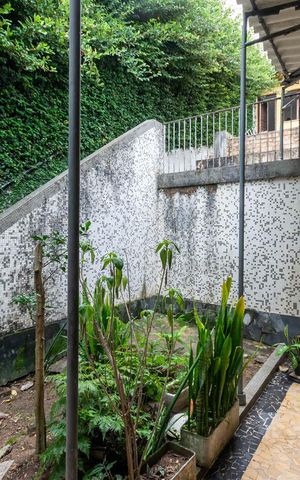 Casa à venda com 300m², 3 quartos e 1 vagaQuintal