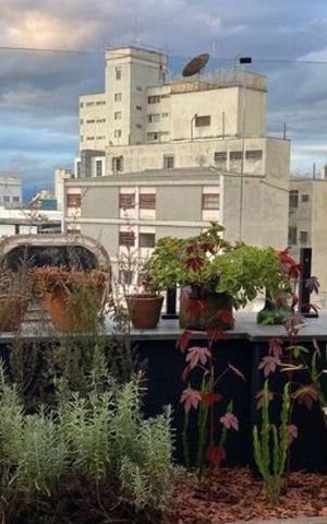 Apartamento para alugar com 135m², 1 quarto e 1 vaga Apartamento para alugar com 135m², 1 quarto e 1 vagaÁrea externa