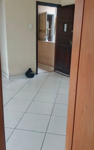 Apartamento para alugar com 62m², 2 quartos e sem vaga Apartamento para alugar com 62m², 2 quartos e sem vagaCozinha