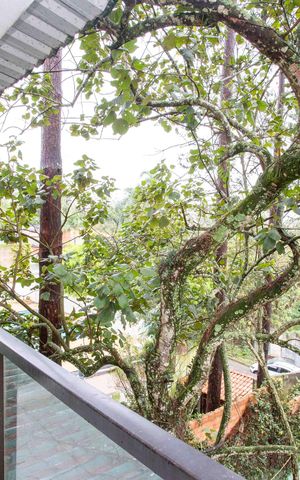 Casa para alugar com 400m², 2 quartos e 6 vagasVaranda