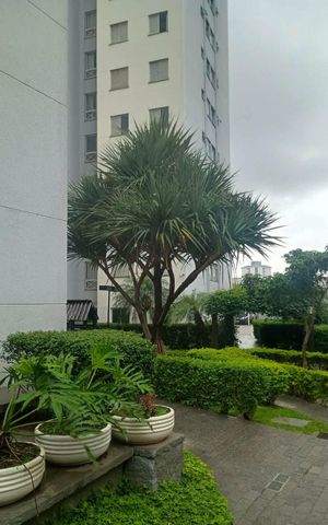 Apartamento à venda com 44m², 2 quartos e 1 vagaÁrea externa