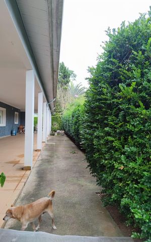 Casa de condomínio para alugar com 600m², 4 quartos e 12 vagas