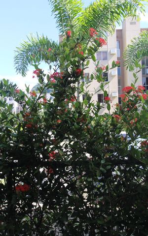 Apartamento à venda com 62m², 2 quartos e 1 vagaQuarto 2 - Vista