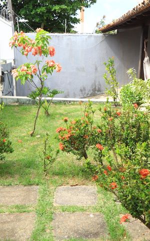 Casa para alugar com 700m², 4 quartos e 2 vagasVaranda