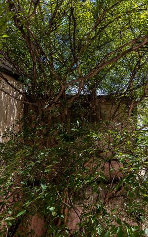 Casa à venda com 170m², 3 quartos e 4 vagasQuarto 3 - Vista