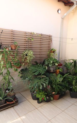 Casa para alugar com 180m², 3 quartos e 2 vagasVaranda