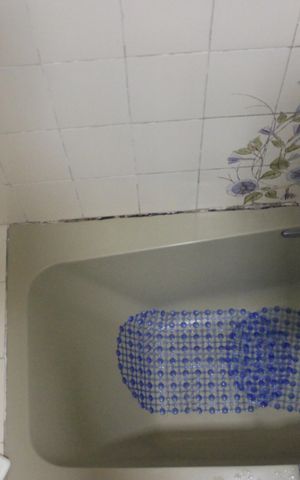 Casa à venda com 250m², 3 quartos e 3 vagasBanheiro da Suíte