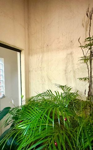Casa à venda com 230m², 4 quartos e 4 vagas Casa à venda com 230m², 4 quartos e 4 vagasJardim